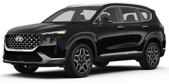 HYUNDAI SANTA FE 2023 5NMS3DA15PH009351 image